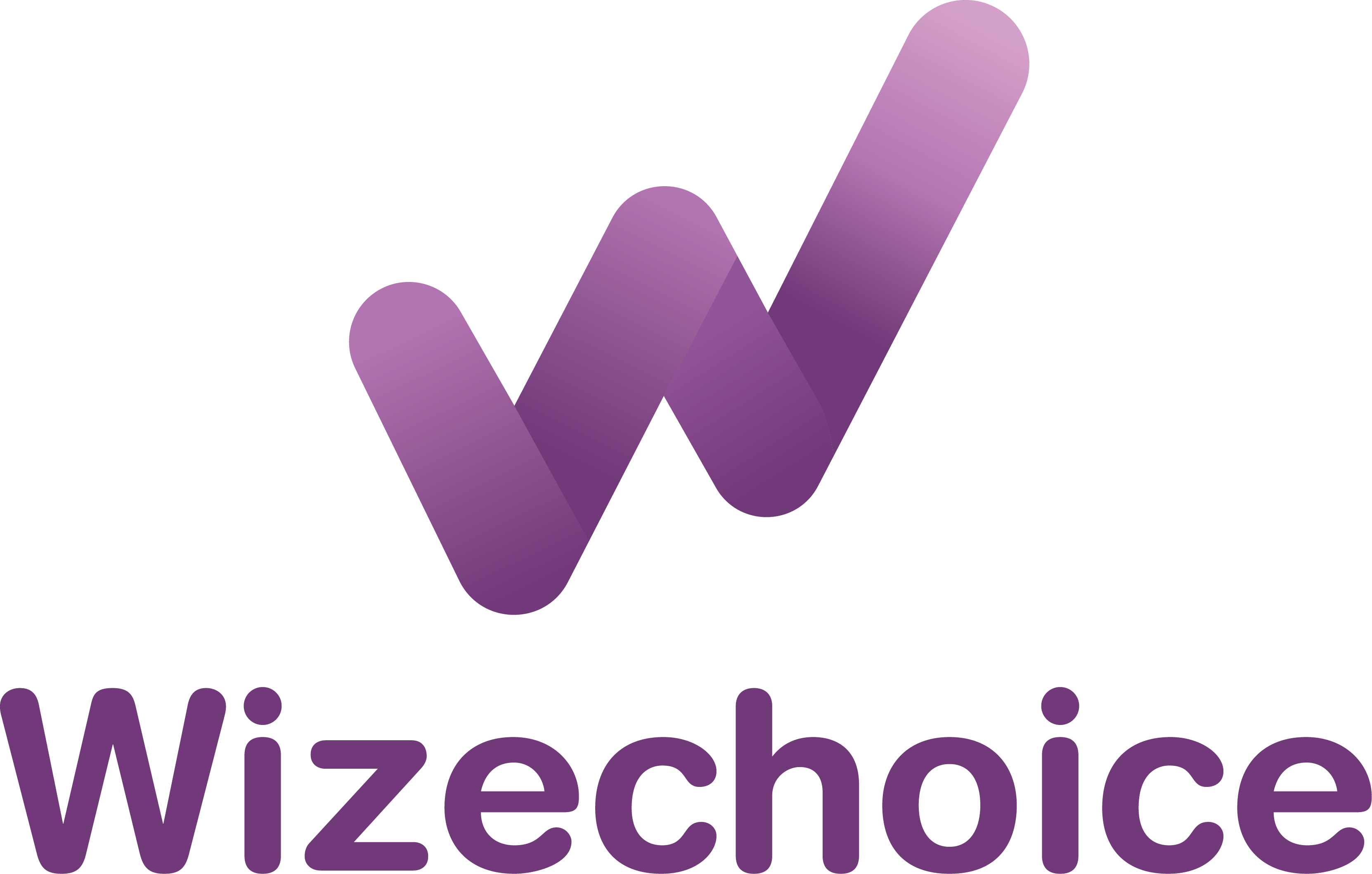 Wizechoice